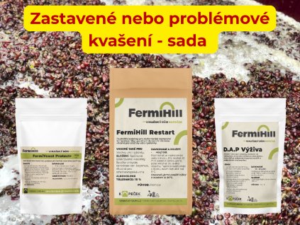 Zastavené problémové kvašení
