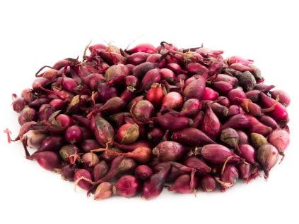 Snímek obrazovky 2026 03 04 113034