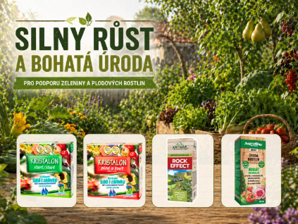 Silný růst a bohatá úroda