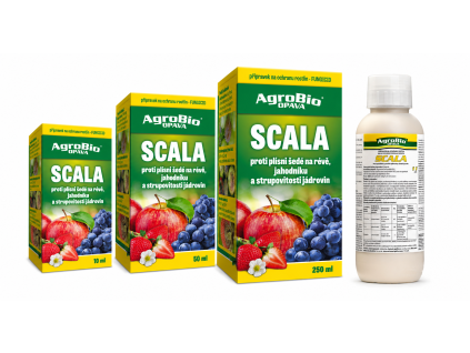 6c10b0f3 79df 4a23 8ae2 a15c9a5f5441