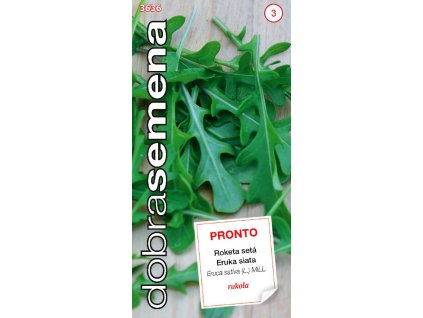 Roketa setá - PRONTO