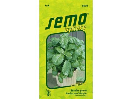 Bazalka pravá Lettuce Leaf