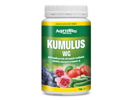 1 kg kumulus