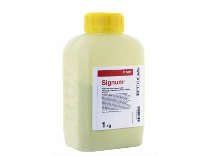 Snímek obrazovky 2026 03 19 074823