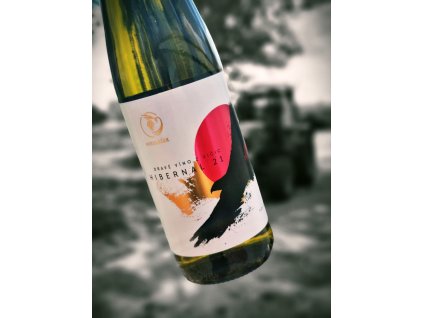 Hibernal polosuché 2021