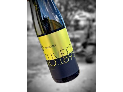 Polish 20230625 145722691