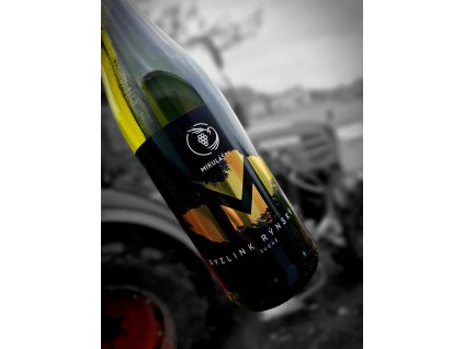 Ryzlink Rýnský suché 2023