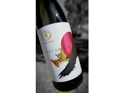 Pinot Gris polosuchý 2024