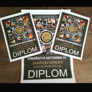 #vystavavin # vinarstviantoninaiv www.vinarstviantoninaiv.cz 🍷