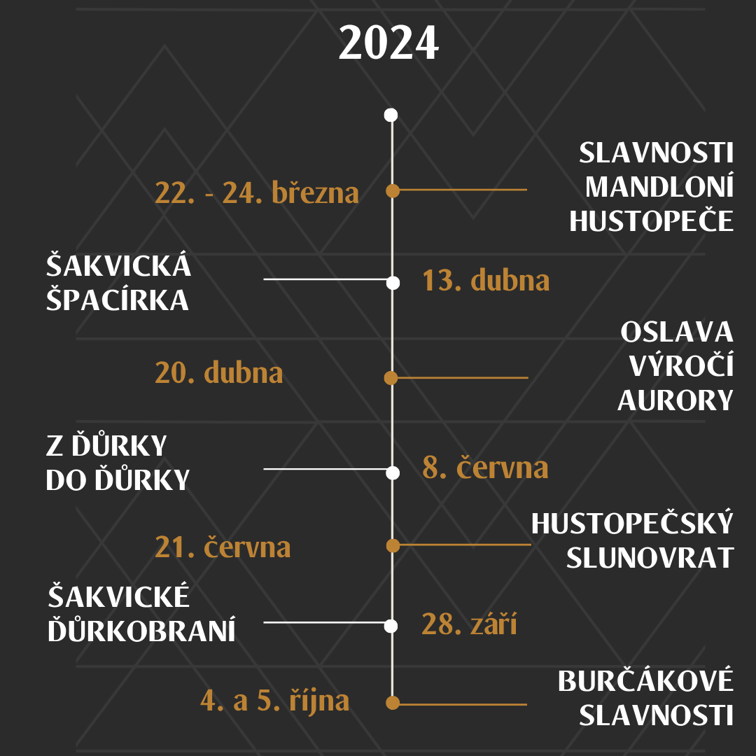 Akce v roce 2024