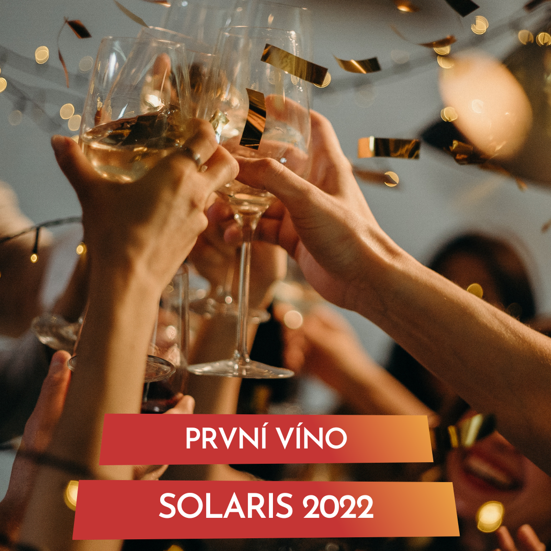 První letošní víno - Solaris 2022