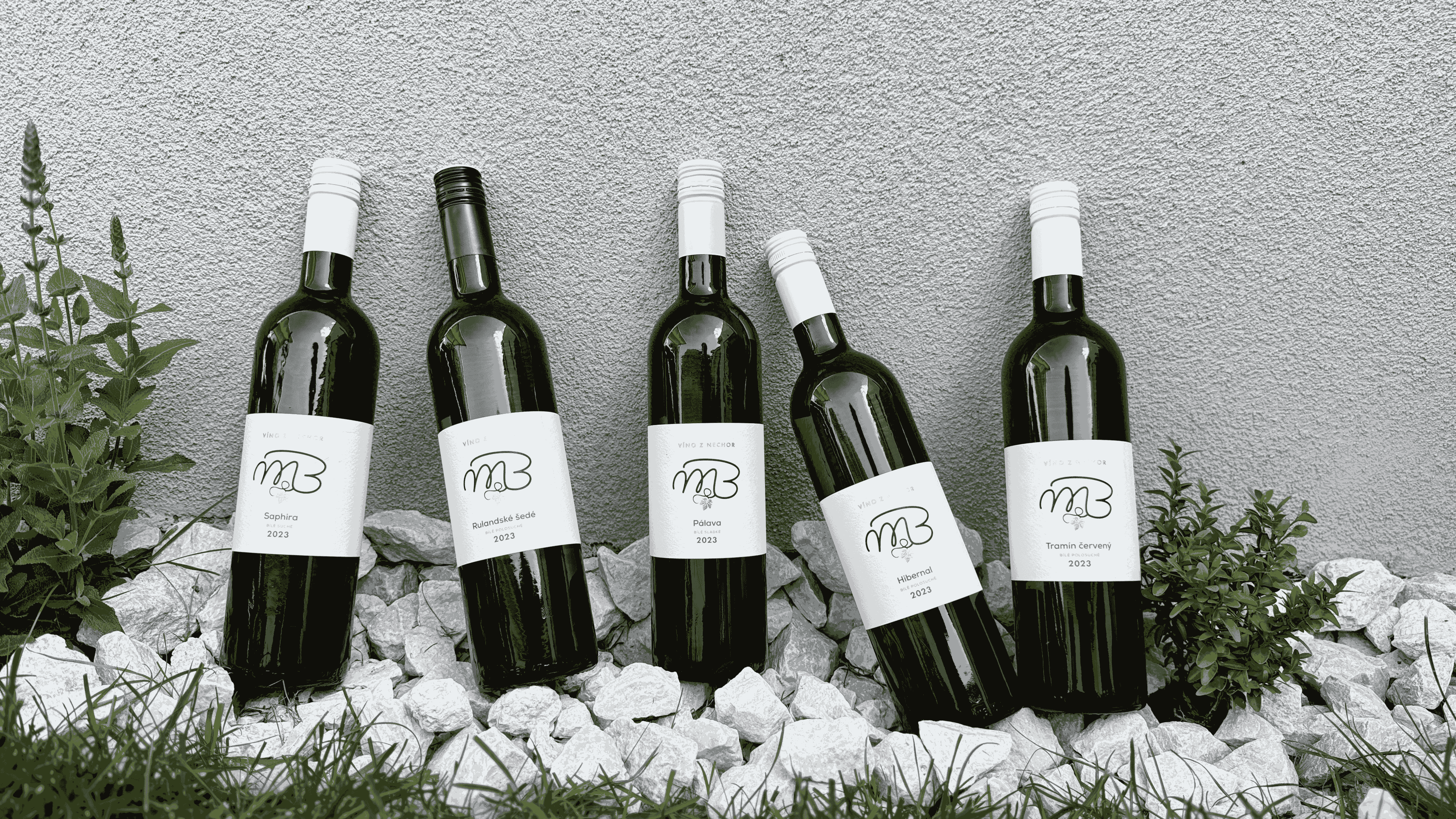 Wine