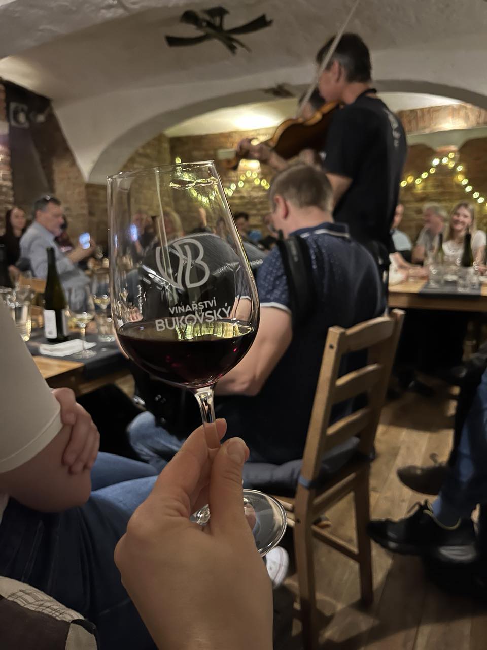 9. 7. 2024 Hudební degustace v brněnské vinotéce - Zapomenuté vzorky