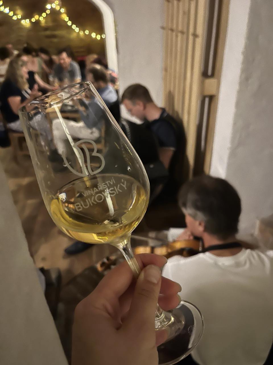 21. 2. 2025 DEN VÍNA v Dolních Kounicích