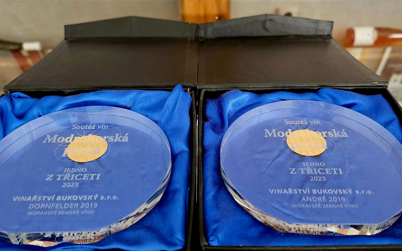 Sbíráme medaile :)