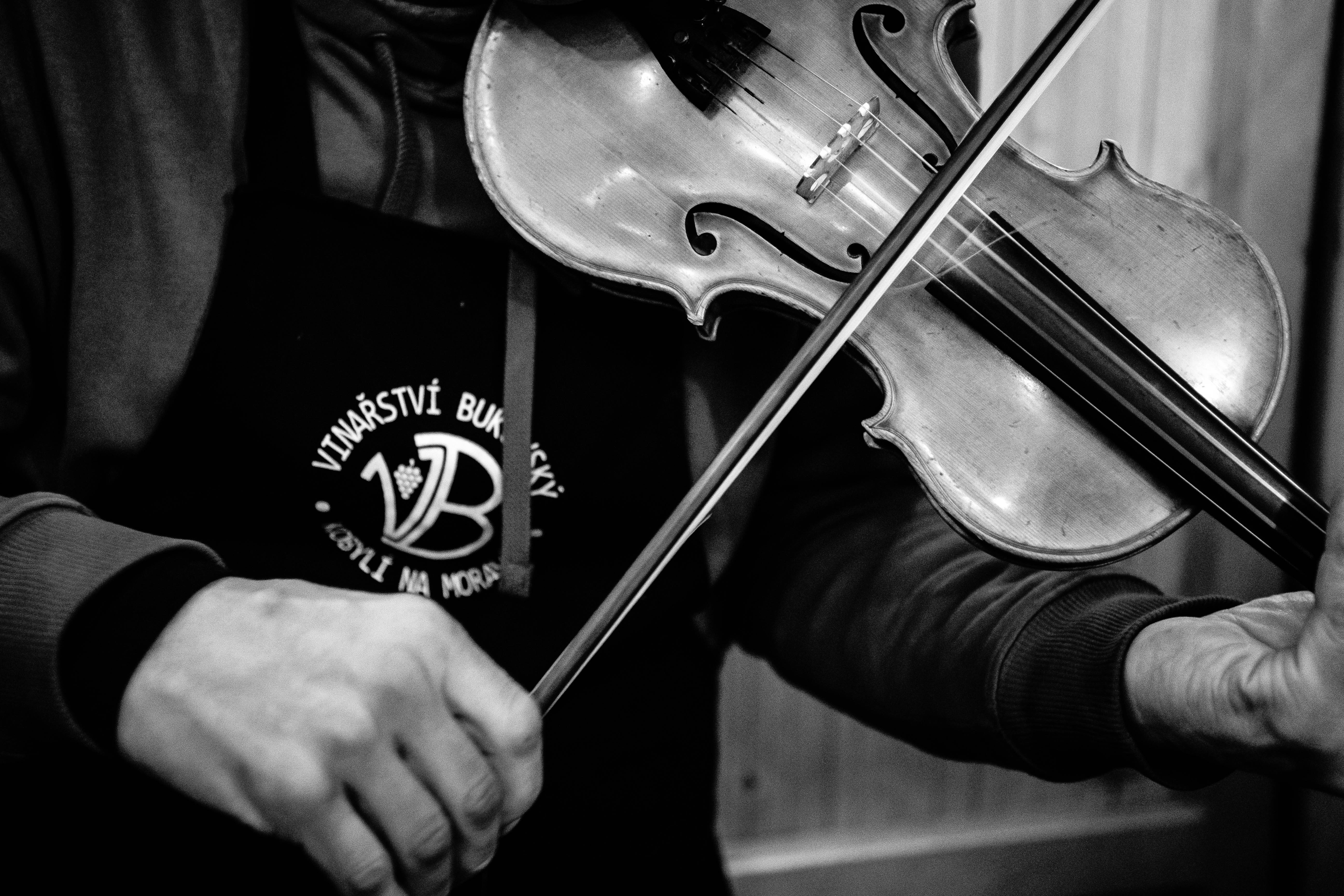 13. 10. 2023 Petrovfest, Brno