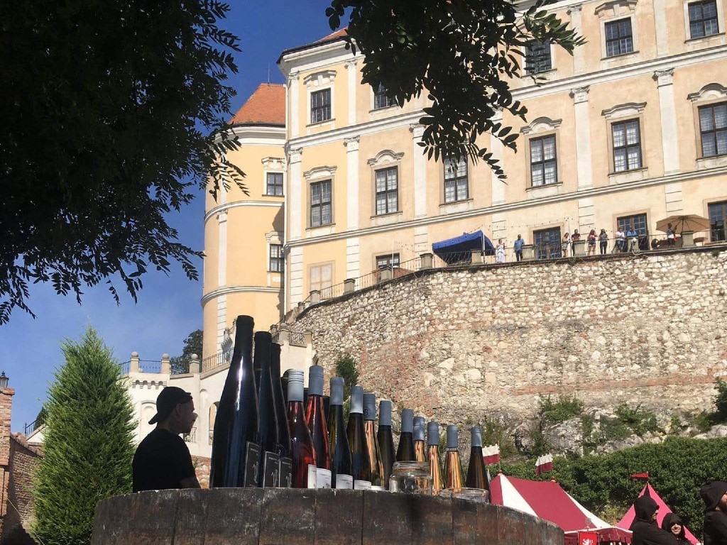8. - 10. 9. 2023 Pálavské vinobraní v Mikulově