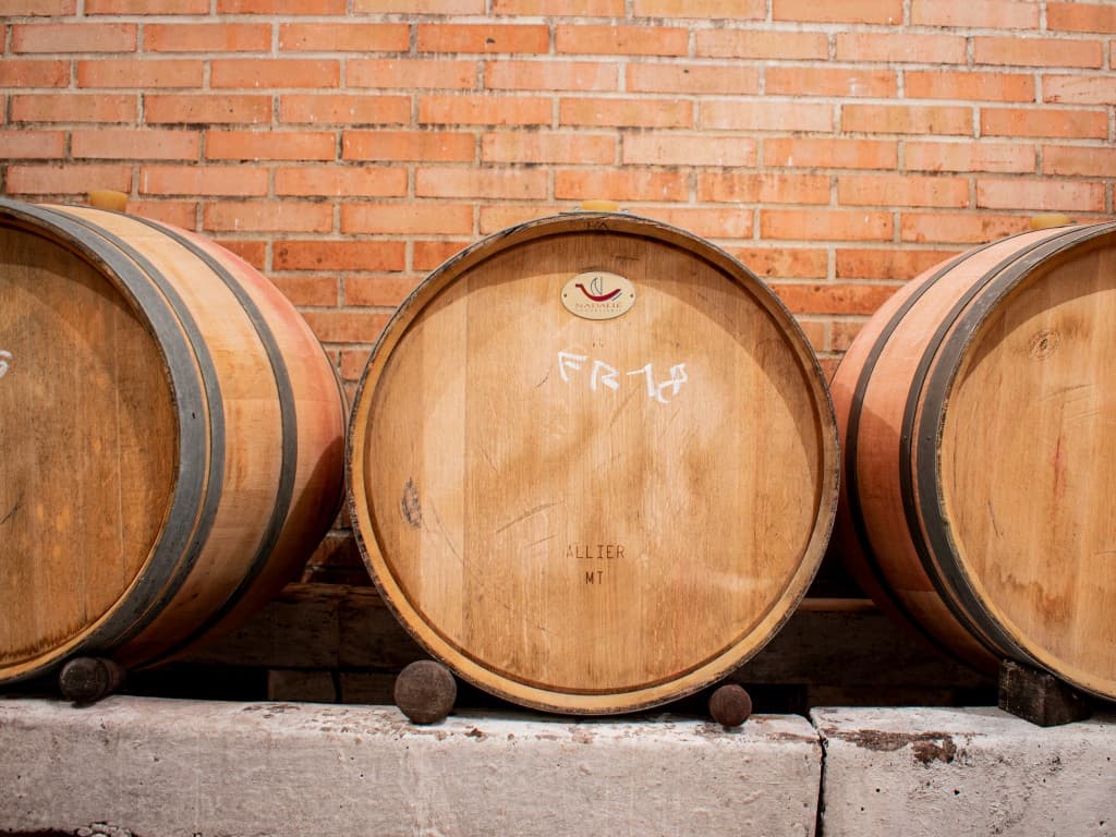 12. 11. 2022 Pokračování sv. Martina u Bukovských v Kobylí