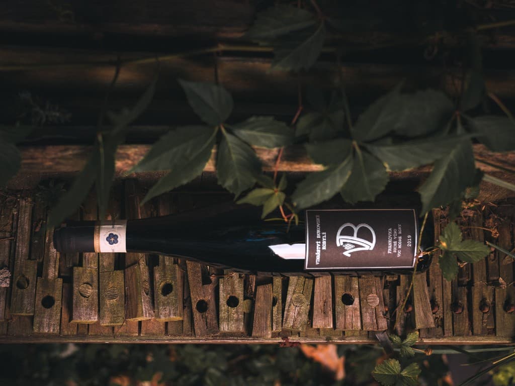 7. 10. 2023 Symfonie pohybu, Brno