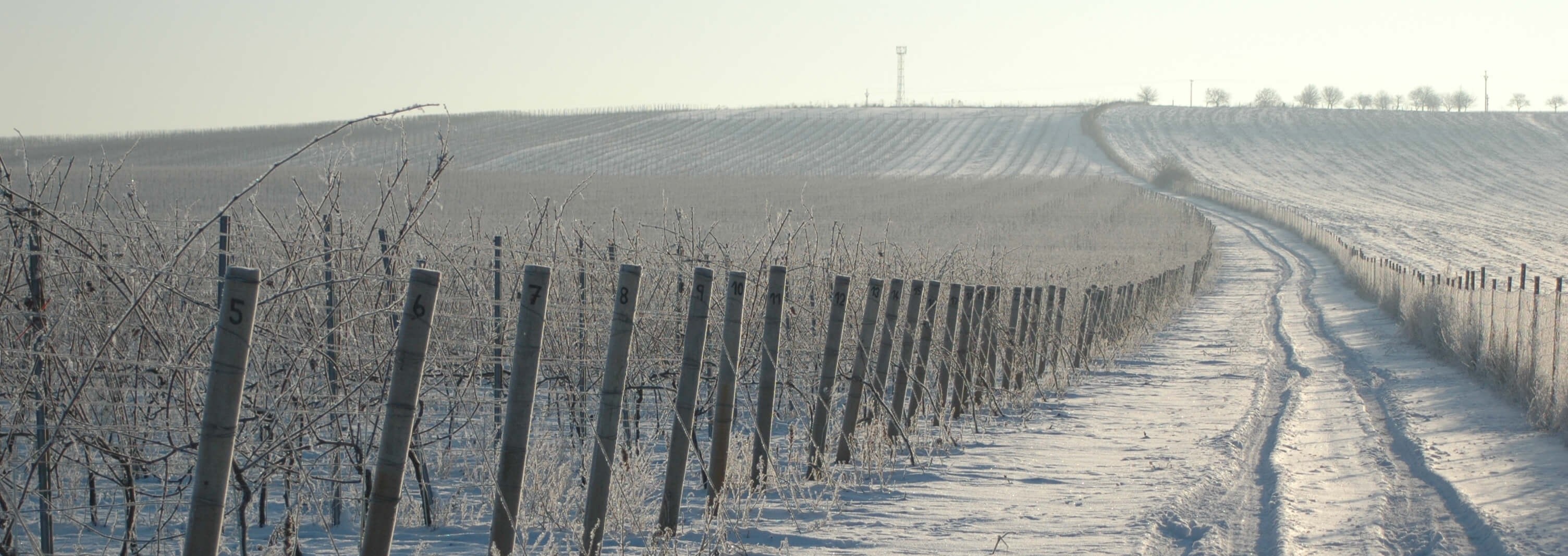 Zima v Modrých Horách