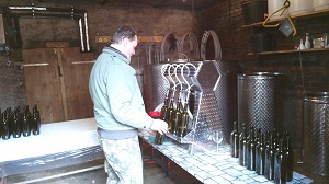 Výsadba vinohradu 2016