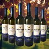 Vinařství Ježková - Degustační balíček suchých vín