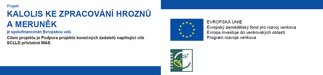 projekt_mv