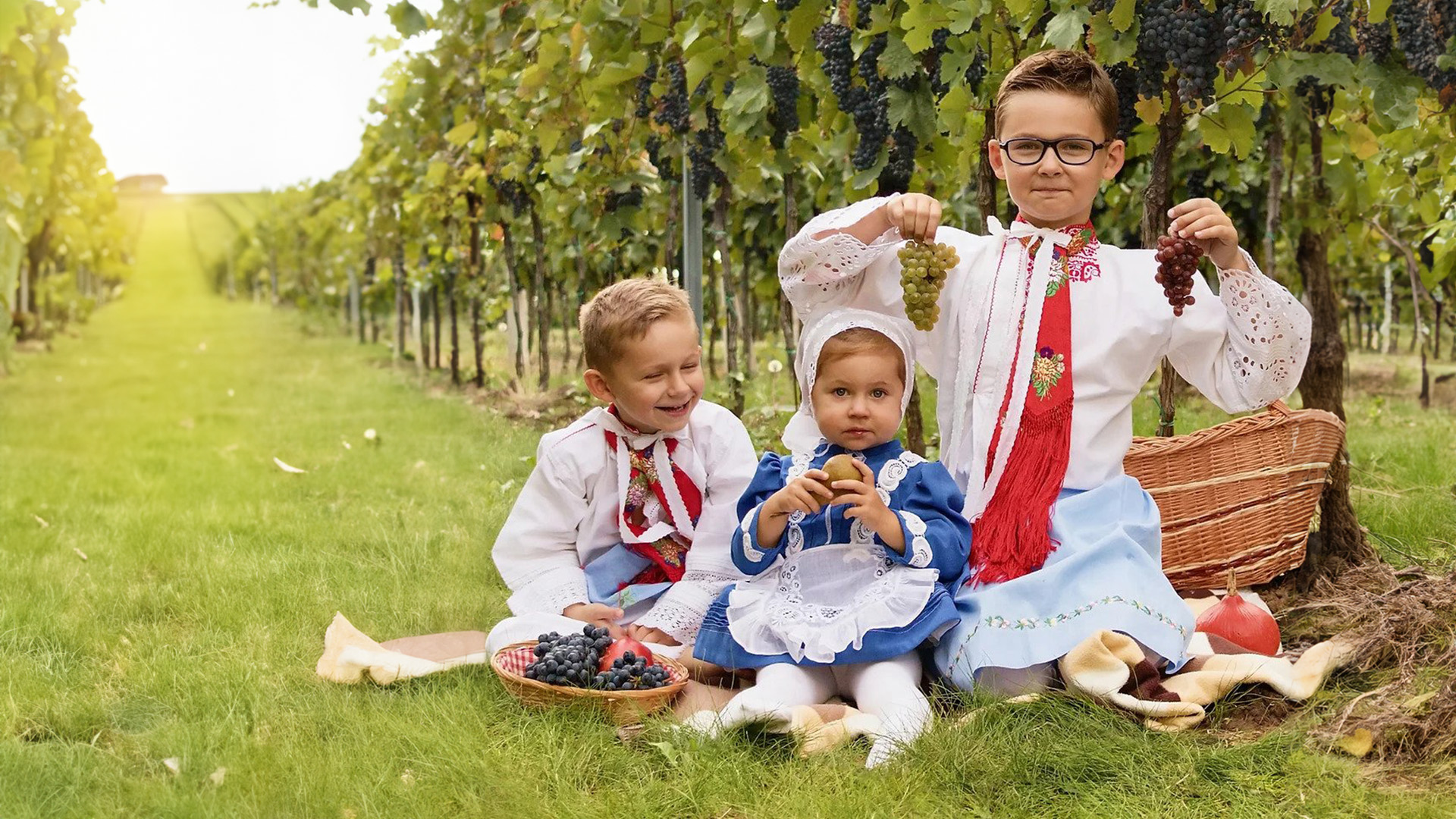Víno dělané srdcem