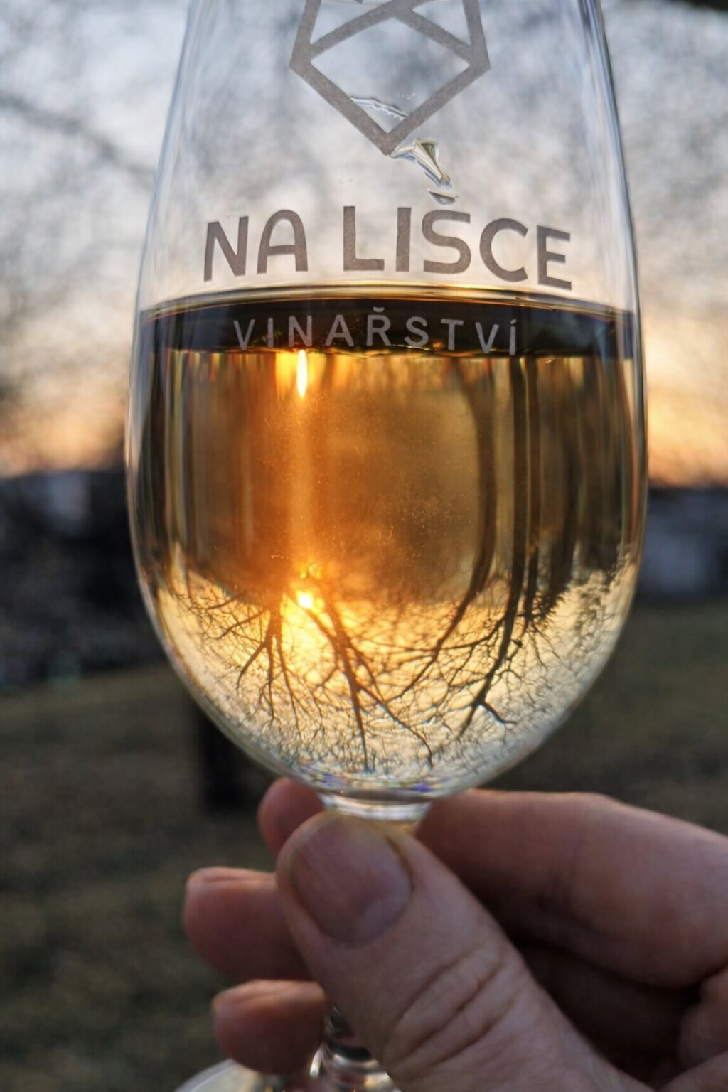 Degustace vín – ochutnávka