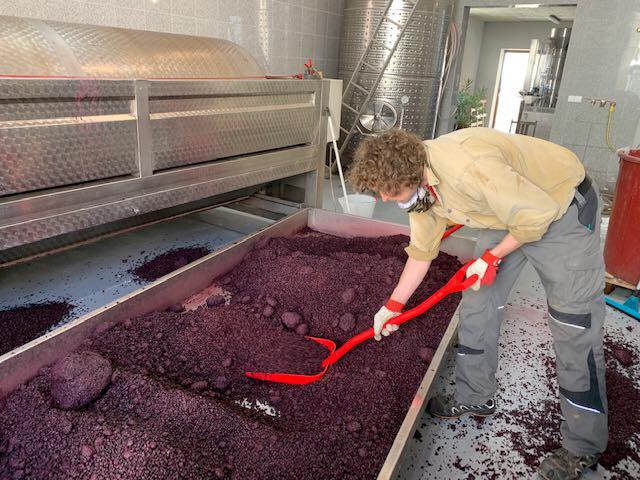 Vylisovali jsme červené Gravettien Grande Cuvée 2019