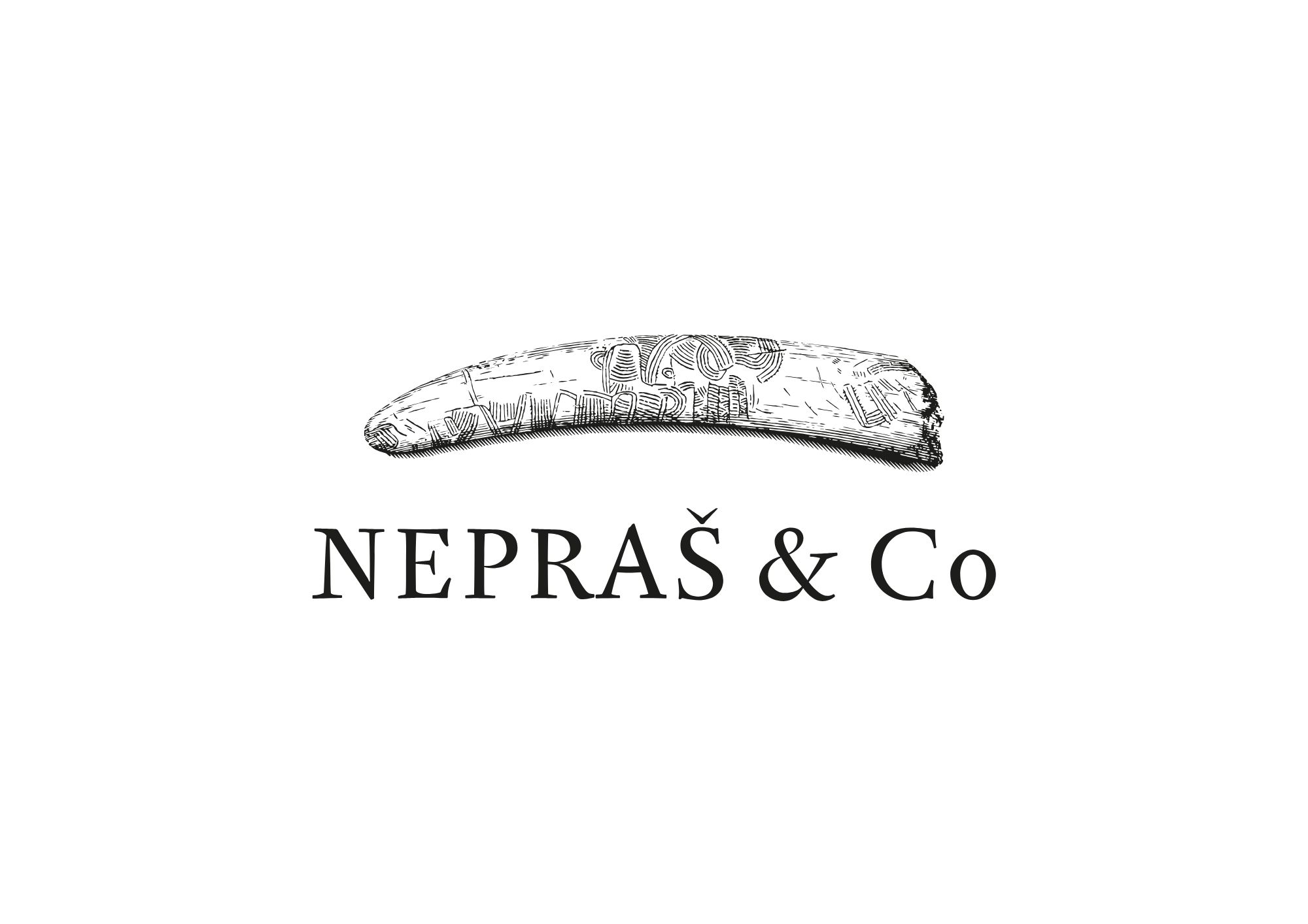 Vítejte ve Vinném deníku Vinařství NEPRAŠ & Co.