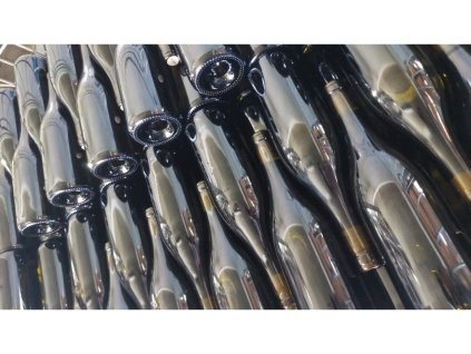 Riesling 3 Maidenstein 2024