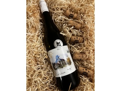 SAVILON Z BIO VINICE 2023