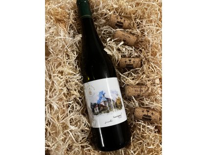 SAUVIGNON 2023