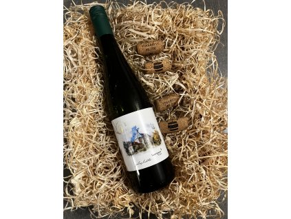 SAUVIGNON 2024