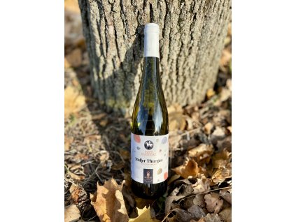 SVATOMARTINSKÉ MÜLLER THURGAU 2025