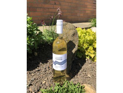 Donauriesling 2025