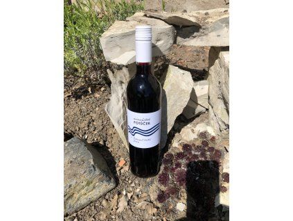 Cabernet Cortis 2025