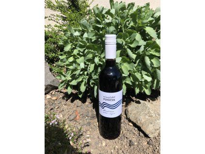 Pinot nova virgin 2022