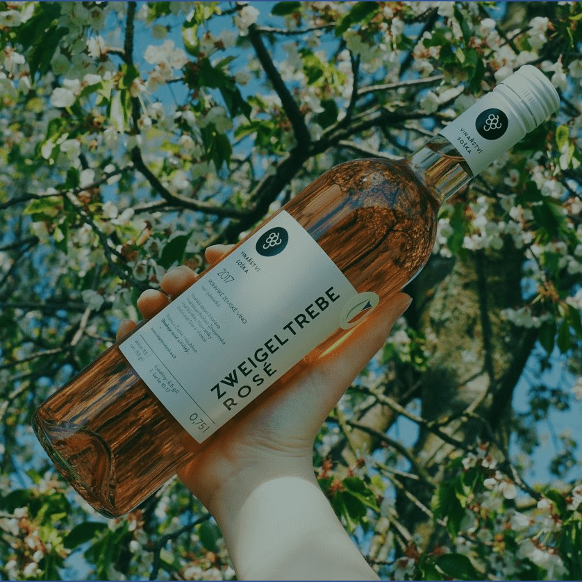 Co je dobré vědět o růžovém víně