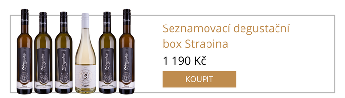 Seznamovací degustační box Strapina
