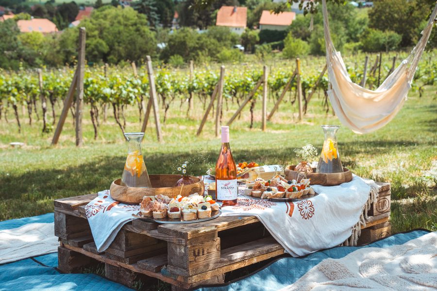 Piknikové posezení při degustaci ve vinici v Pavlově, na stole Frizzante rosé z Vinařství Strapina
