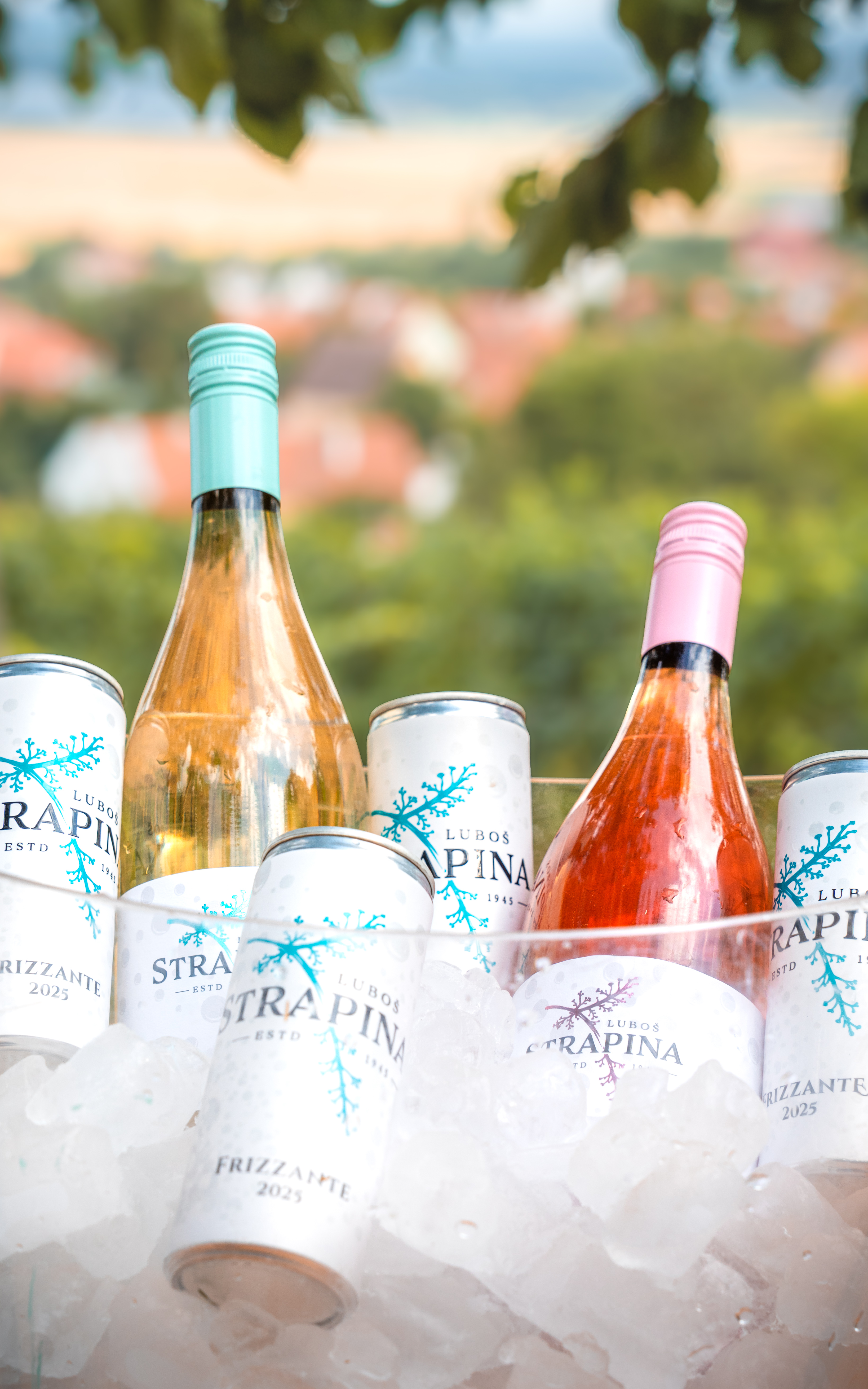 Plechovky a lahve Frizzante a dalších vín Strapina v ledu