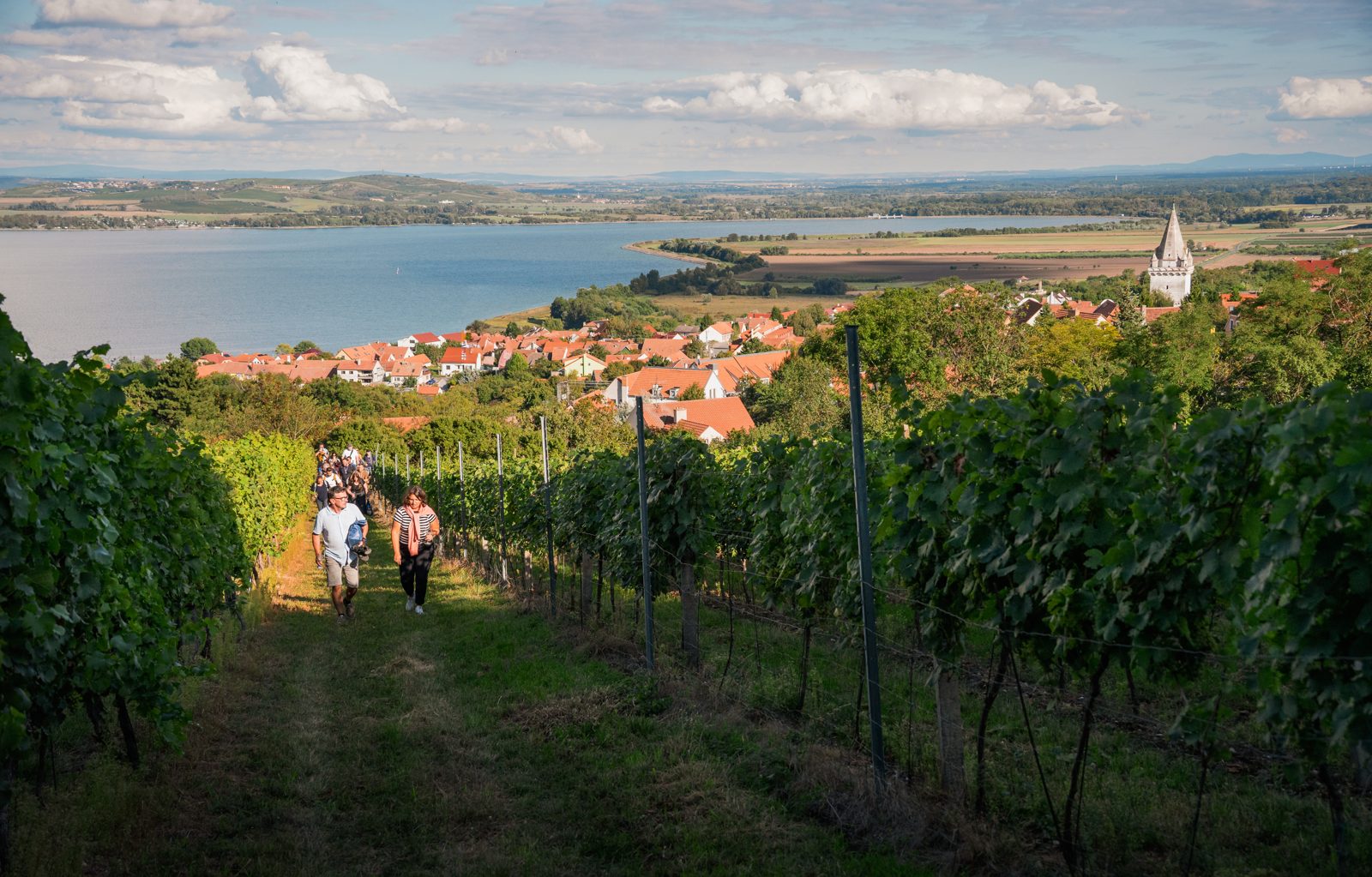 Procházka týmu vinicí nad Pavlovem během teambuildingu, v pozadí Novomlýnské nádrže a kostel