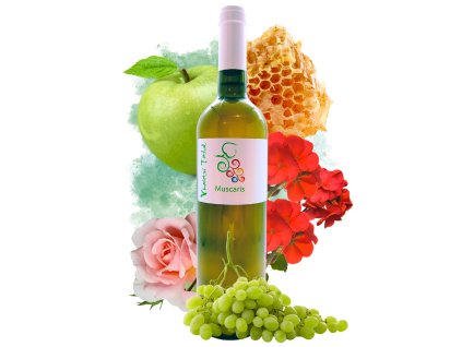 Muscaris 2023 | sladké