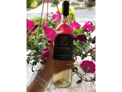 Souvignier Gris 2024