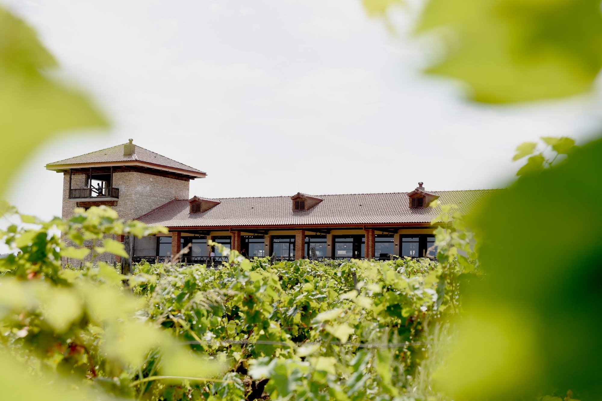 Poznejte gruzínské vinařské oblasti #1: Akhasheni