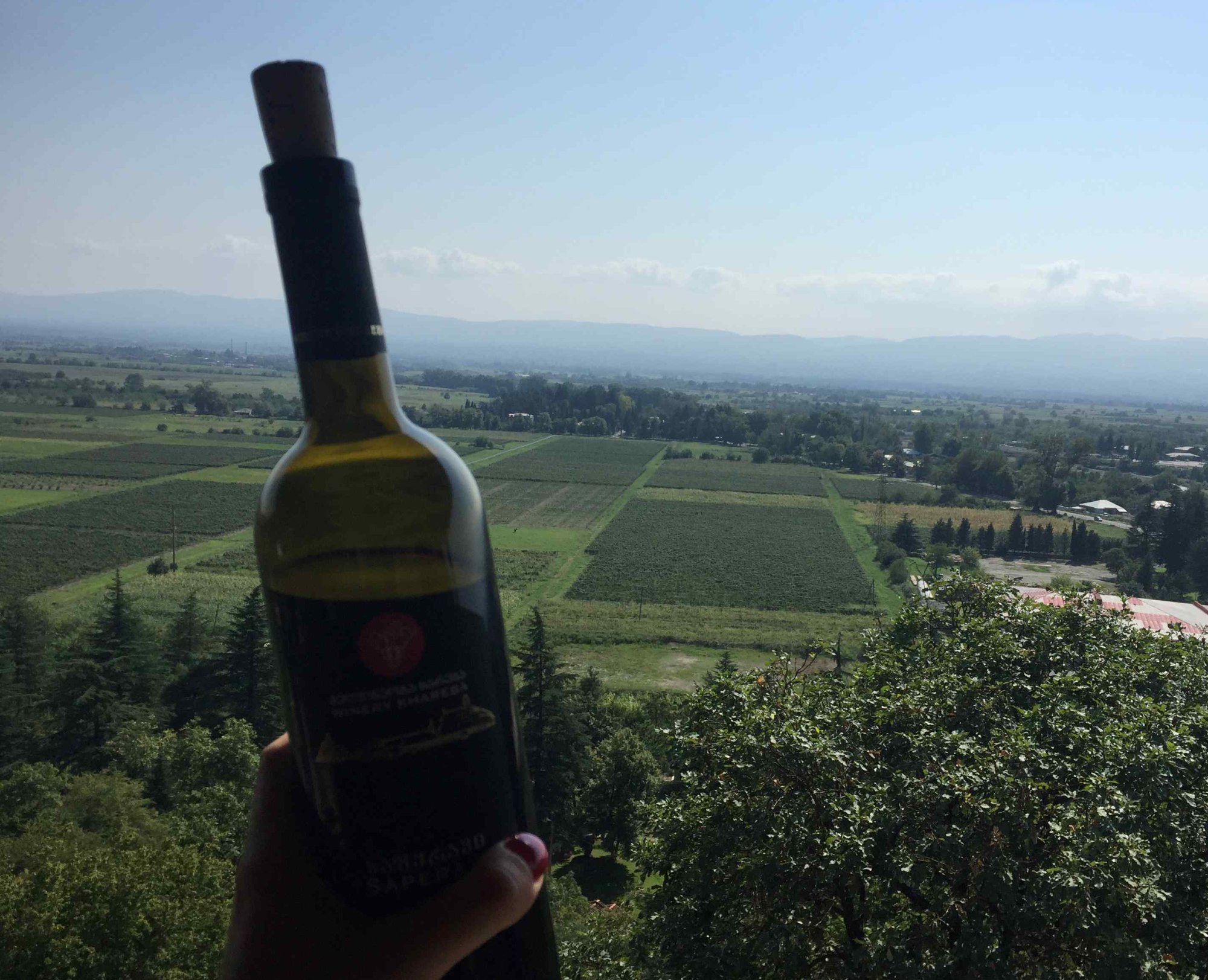 Poznejte gruzínské vinařské oblasti #2: Mukuzani