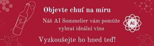 Banner-AI-sommelier-VinazGruzie