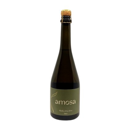 Extra brut šumivé víno z Gruzie2